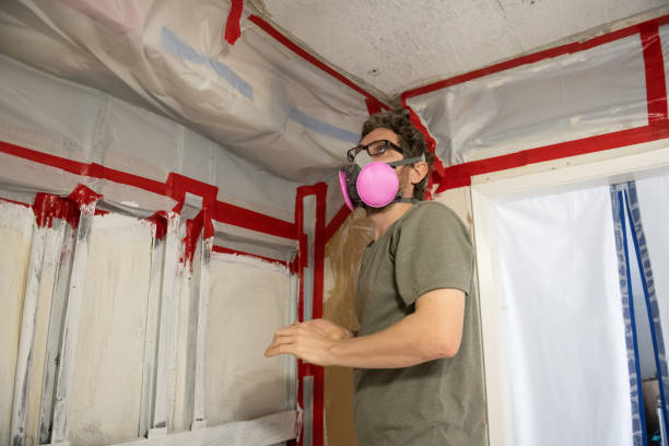 Mold Remediation for Vacation Homes in Litchfield, MI